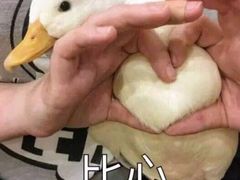 -粤仔湾砂锅粥(广益哥伦布店)