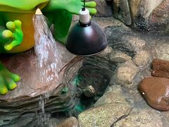 -无锡动物园·太湖欢乐园