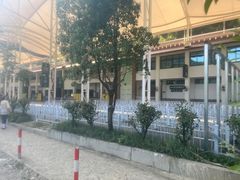 -雅鲁激流探险漂流