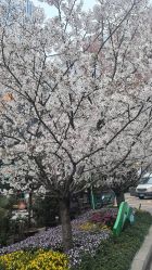 -Dr·Jane皮肤管理中心