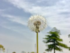 景点-上海都市菜园