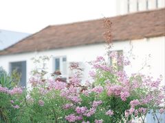 -梧桐面馆桐乡阿能面店(印象城店)