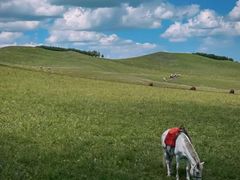 -塞罕坝国家级自然保护区