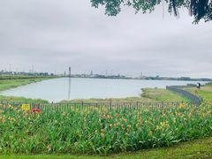 -露天矿生态公园