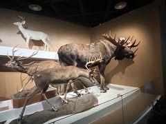 -陕西自然博物馆