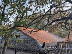 -西园戒幢律寺