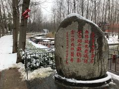 -合肥滨湖国家森林公园