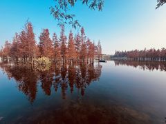 -白鹭湾湿地公园