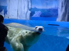 -多彩贵州城极地海洋世界