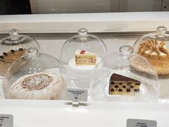 -Lady M(沙田新城市广场店)
