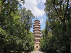 -灵谷景区