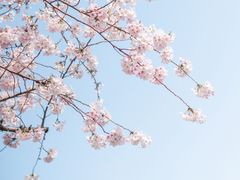 -龙美术馆(西岸馆)