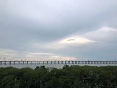 -宝安西湾红树林湿地公园