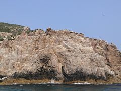 -海驴岛(荣成市)