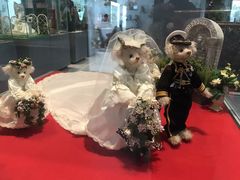 -济州岛泰迪熊博物馆