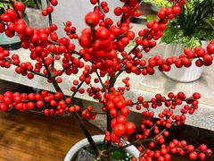 -双季花艺园艺市场(浦东店)