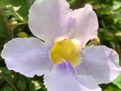 -新加坡飞禽公园