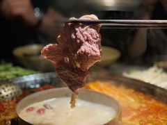 -渝涯重庆豆花老火锅(中赢国际店)