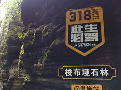 -梭布垭石林景区