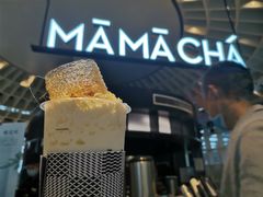 -MAMACHA妈妈茶(岳麓山店)