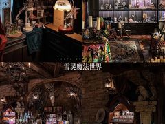 -雪灵魔法世界SHELLY’S TAROT(大良桂畔里店)