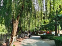 -黄村公园