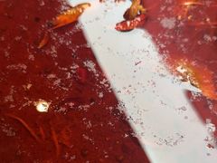 -渝蛙馆(新百店)