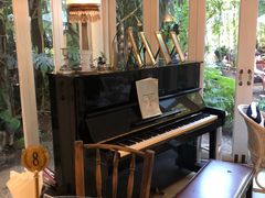 -Fern Forest Cafe