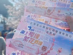 -顾村公园