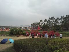 -光明小镇欢乐田园