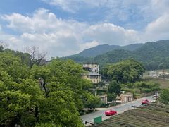 -龙坞茶村