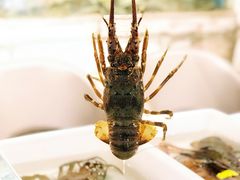 -碗中海·蒸汽海鲜·桑拿鸡(岭南天地店)