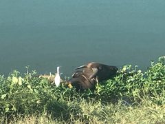 -抚州汤溪温泉