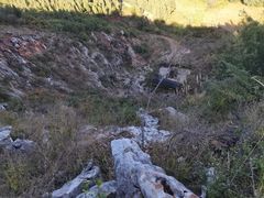 -长虫山生态公园风景林