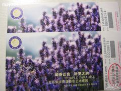 -紫海香堤香草艺术庄园