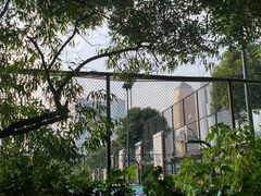 -天河体育中心篮球城