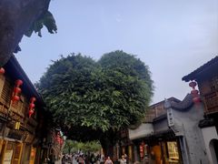 -三坊七巷历史文化街区