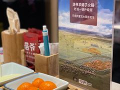 -浩爷羊蝎子火锅(望京店)