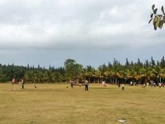 android_upload_pic-白沙门生态公园