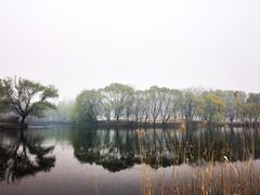 -长白岛森林公园