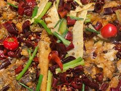 -老板恋上鱼(印象城店)