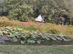 -蠡湖大桥公园
