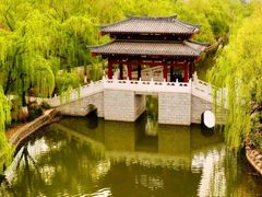 -宝鸡植物园