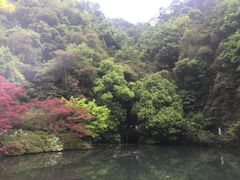 -龙井村