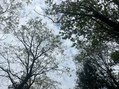 -洨河生态公园