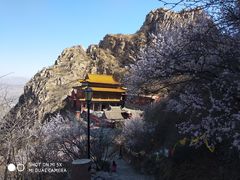 -辛安庄鸡鸣山景区