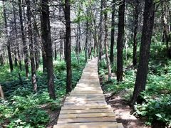 -白草畔自然风景区