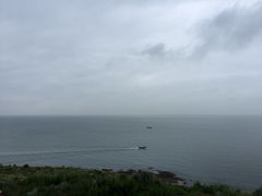 -仙人岛