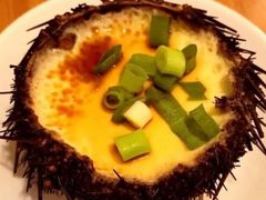 海胆蒸蛋-海胆小馆(东北水饺·春柳店)