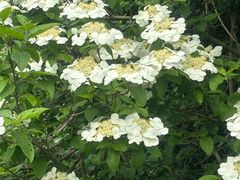 -南山风景名胜区